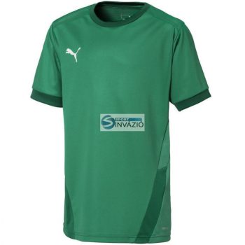 Puma teamGOAL 23 Jr. póló-704160 05