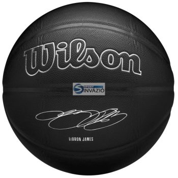 Wilson NBA Player EvergreenLeBron kosárlabda-WZ4026801XB
