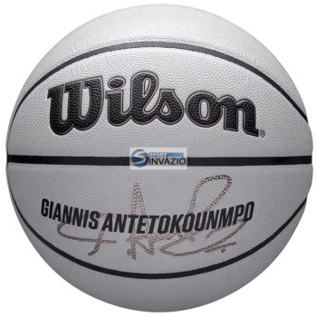 Wilson NBA Player Icon UV Giannis kosárlabda-WZ4030901XB