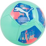 Puma Big Cat Focilabda-84214 13 