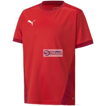 Puma teamGOAL 23 Jr. póló-704160 01