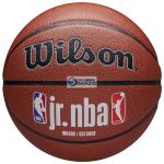 Wilson Jr. NBA Fam Logo Auth Kosárlabda-WZ2018401XB