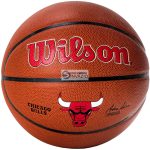 Wilson Team Alliance Chicago Bulls kosárlabda-WTB3100XBCHI