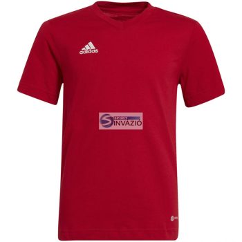 Adidas Entrada 22 Tee Jr póló-HC0446