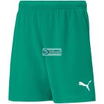 Puma teamRISE Rövidnadrág Jr-704943 05