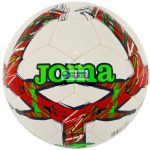 Joma Dalí III lfociabda-401412-206