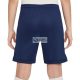 Nike Dri-Fit Academy 25 Jr Rövidnadrág-FZ9784 410