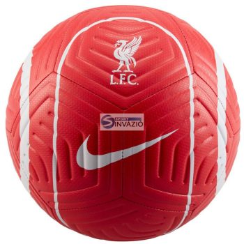 Football Nike Liverpool FC Strike DJ9961-657