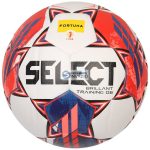   Ball Select Brillant Training DB Fortuna 1 Liga V23 3565160454